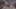 Game screenshot thumbnail 1