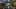 Game screenshot thumbnail 1