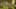 Game screenshot thumbnail 1