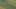Game screenshot thumbnail 5
