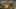 Game screenshot thumbnail 1