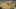 Game screenshot thumbnail 4