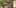 Game screenshot thumbnail 3