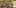 Game screenshot thumbnail 4