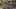 Game screenshot thumbnail 4