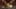Game screenshot thumbnail 5