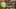 Game screenshot thumbnail 5