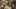 Game screenshot thumbnail 2
