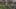 Game screenshot thumbnail 2