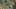 Game screenshot thumbnail 1