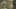 Game screenshot thumbnail 2