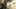 Game screenshot thumbnail 4