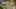 Game screenshot thumbnail 4