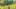 Game screenshot thumbnail 2
