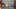 Game screenshot thumbnail 1