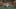 Game screenshot thumbnail 5