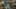 Game screenshot thumbnail 5