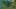 Game screenshot thumbnail 1