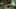 Game screenshot thumbnail 1