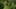 Game screenshot thumbnail 5