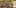Game screenshot thumbnail 2