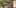 Game screenshot thumbnail 4