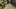 Game screenshot thumbnail 3