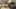 Game screenshot thumbnail 1