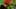 Game screenshot thumbnail 5