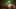 Game screenshot thumbnail 2