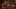 Game screenshot thumbnail 1