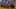 Game screenshot thumbnail 5