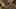 Game screenshot thumbnail 2
