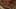 Game screenshot thumbnail 4