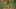 Game screenshot thumbnail 1
