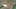 Game screenshot thumbnail 5
