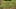 Game screenshot thumbnail 5