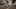 Game screenshot thumbnail 4