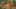 Game screenshot thumbnail 2