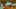 Game screenshot thumbnail 5