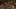 Game screenshot thumbnail 4
