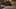 Game screenshot thumbnail 1