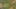 Game screenshot thumbnail 1