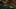 Game screenshot thumbnail 5