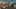 Game screenshot thumbnail 2