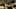 Game screenshot thumbnail 1