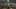 Game screenshot thumbnail 5