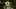 Game screenshot thumbnail 5