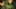 Game screenshot thumbnail 1
