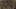 Game screenshot thumbnail 1